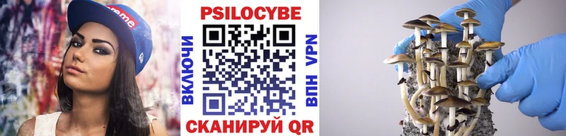 Псилоцибиновые грибы Cubensis  Ростов-на-Дону 