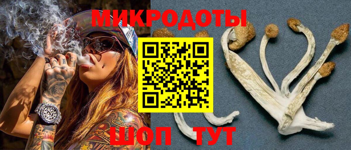 Галлюциногенные грибы Cubensis Ростов-на-Дону
