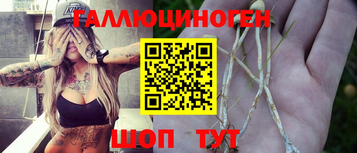 Псилоцибиновые грибы MAGIC MUSHROOMS  Вход с VPN  Ростов-на-Дону 